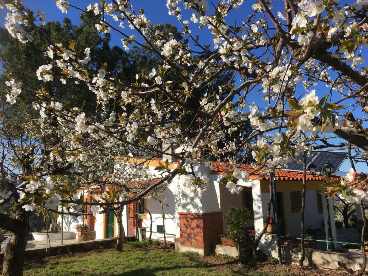Casas De Campo Em Cerejal Villa Fundão Exterior foto